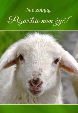 Nie zabijaj.  „Pozwólcie nam żyć!”